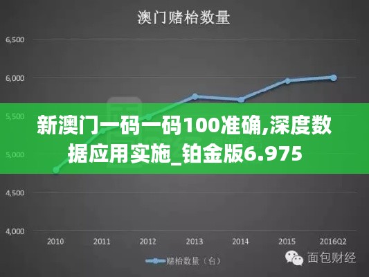 新澳门一码一码100准确,深度数据应用实施_铂金版6.975