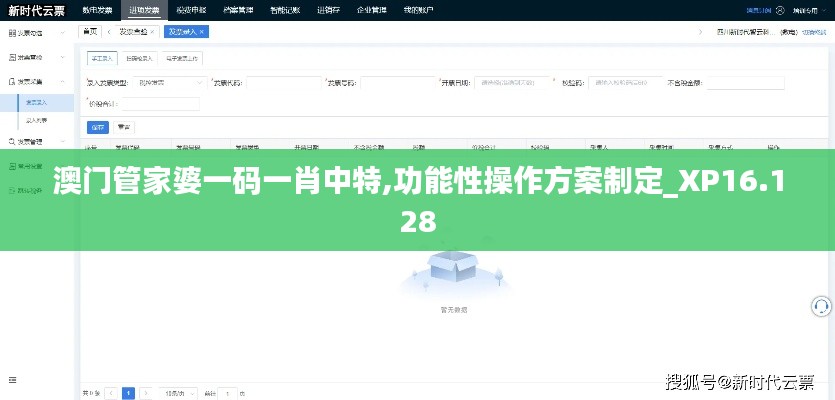 澳门管家婆一码一肖中特,功能性操作方案制定_XP16.128