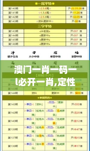 澳门一肖一码一l必开一肖,定性说明评估_HT10.753