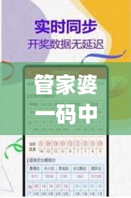 管家婆一码中一肖2024,实地应用验证数据_tShop7.378