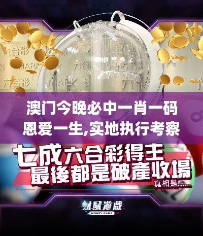 澳门今晚必中一肖一码恩爱一生,实地执行考察方案_网页款5.179