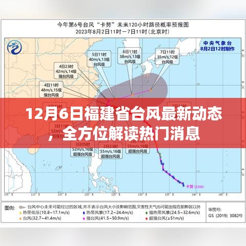 福建省台风最新动态解读，全方位关注热门消息（12月6日）