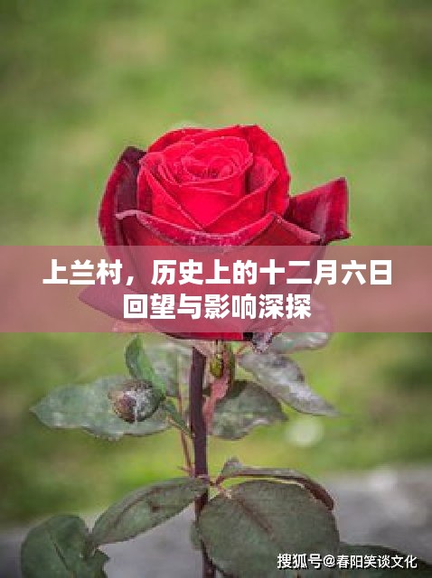 善始善终 第3页