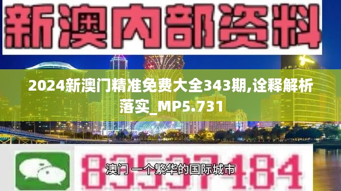 2024新澳门精准免费大全343期,诠释解析落实_MP5.731