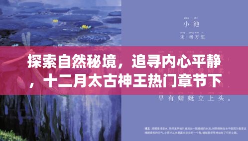 十二月太古神王下的旅行启示录，探索自然秘境，追寻内心平静