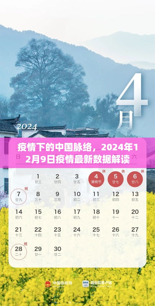 疫情下的中国脉络，最新疫情数据解读报告（2024年12月9日）