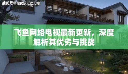 飞鱼网络电视更新解析，优劣与挑战探讨