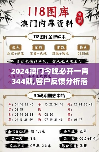 2024澳门今晚必开一肖344期,客户反馈分析落实_户外版19.953