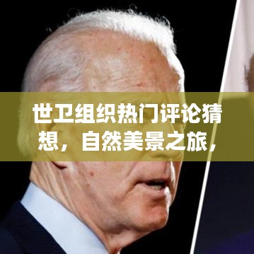 世卫组织热门评论猜想下的自然美景之旅，探寻内心的宁静与平和