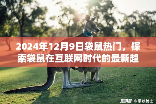 2024年袋鼠热潮来袭，探索互联网时代袋鼠的最新趋势与热点