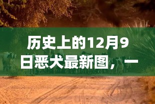 蛾眉曼睩 第3页