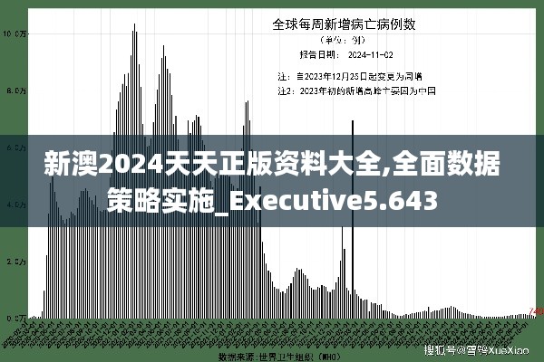 新澳2024天天正版资料大全,全面数据策略实施_Executive5.643