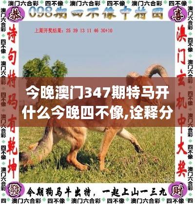 今晚澳门347期特马开什么今晚四不像,诠释分析解析_LE版7.413