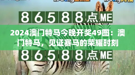 贵险贱璧 第3页