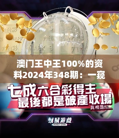 澳门王中王100%的资料2024年348期：一窥未来的澳门赌坛盛况