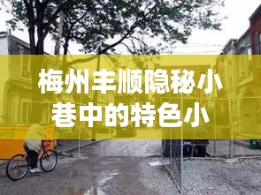 文质彬彬 第3页