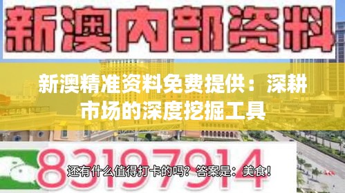 新澳精准资料免费提供：深耕市场的深度挖掘工具