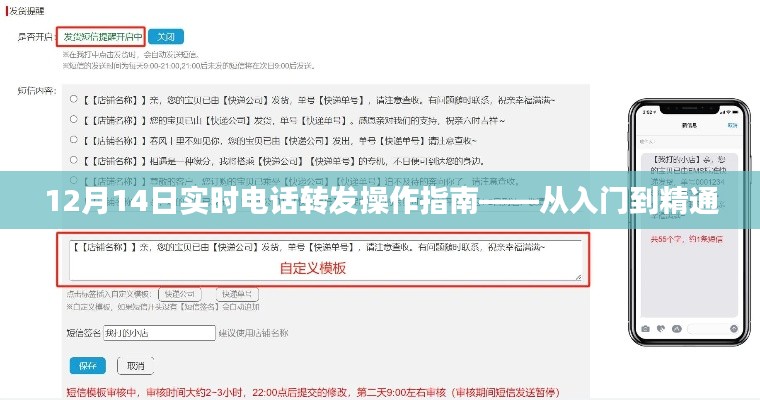 12月14日实时电话转发操作指南，从新手到专家