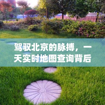 驾驭北京的脉搏，实时地图查询背后的励志故事探索