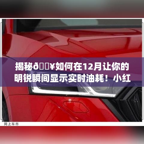 揭秘小红书教程，如何在十二月让你的明锐汽车瞬间显示实时油耗！