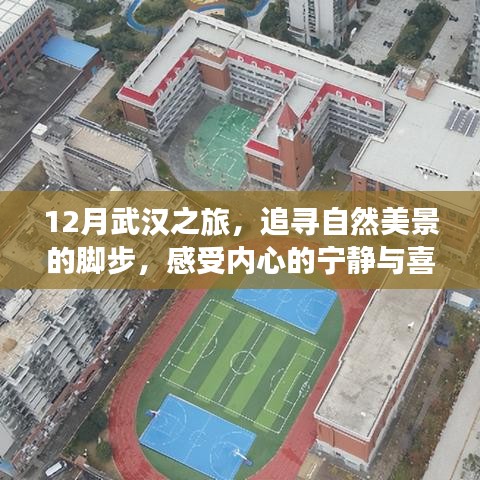 12月武汉之旅，探寻自然美景，体验心灵宁静与喜悦