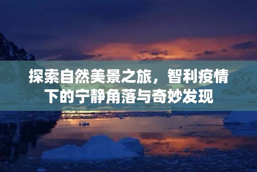 智利自然探索之旅，疫情下的宁静角落与奇妙发现