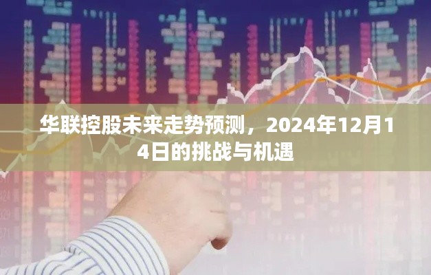 华联控股未来走势展望，挑战与机遇并存（至2024年12月）