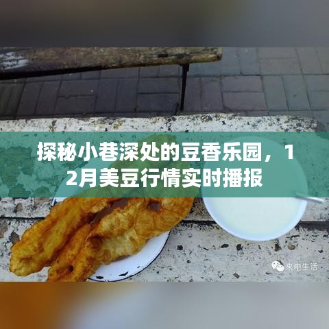 探秘小巷深处的豆香乐园，揭秘十二月美豆行情实时播报