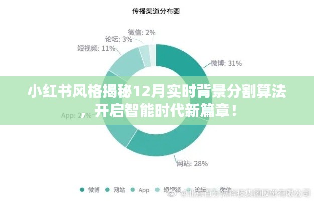 小红书风格揭秘最新实时背景分割算法，智能时代新篇章开启！