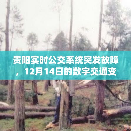 贵阳实时公交系统故障，数字交通变革遭遇短暂停滞