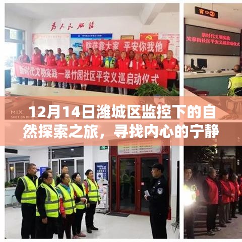 集腋成裘 第3页