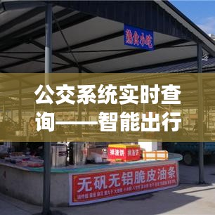 公交系统实时查询，智能出行引领便捷生活新篇章