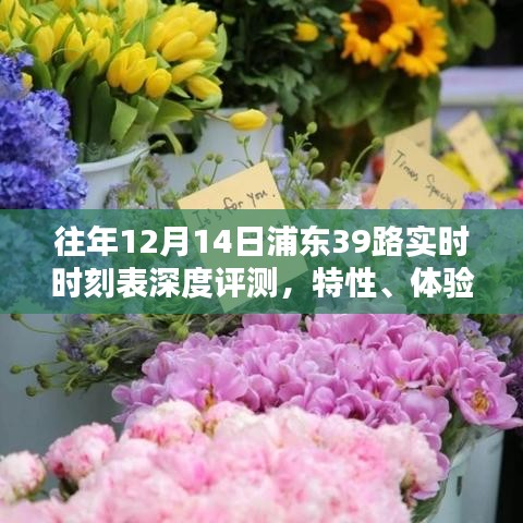 浦东39路实时时刻表深度评测，特性解析、体验分享与竞品对比