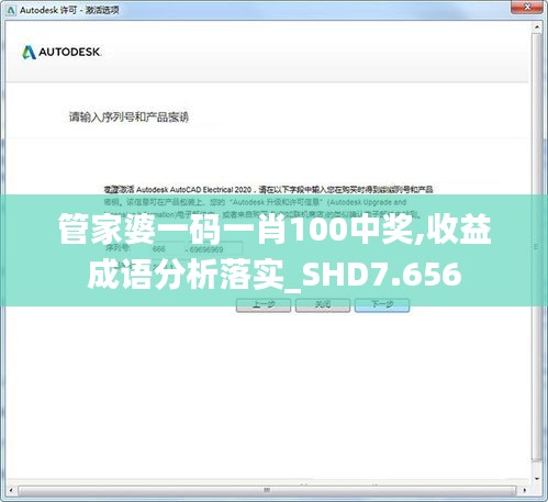 管家婆一码一肖100中奖,收益成语分析落实_SHD7.656