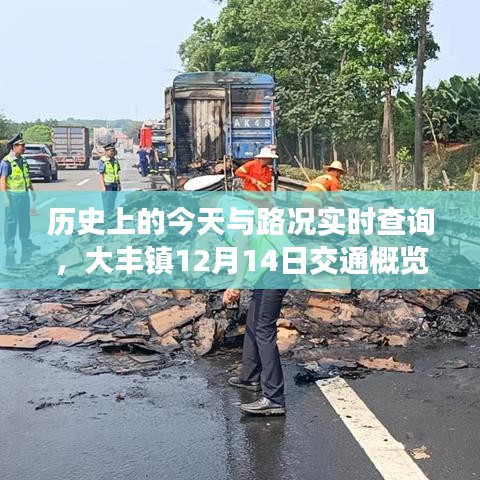 大丰镇12月14日交通概览，历史今日与实时路况查询全解析