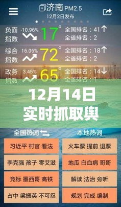 12月14日网络舆情实时分析，洞悉热点，掌握舆论风向标