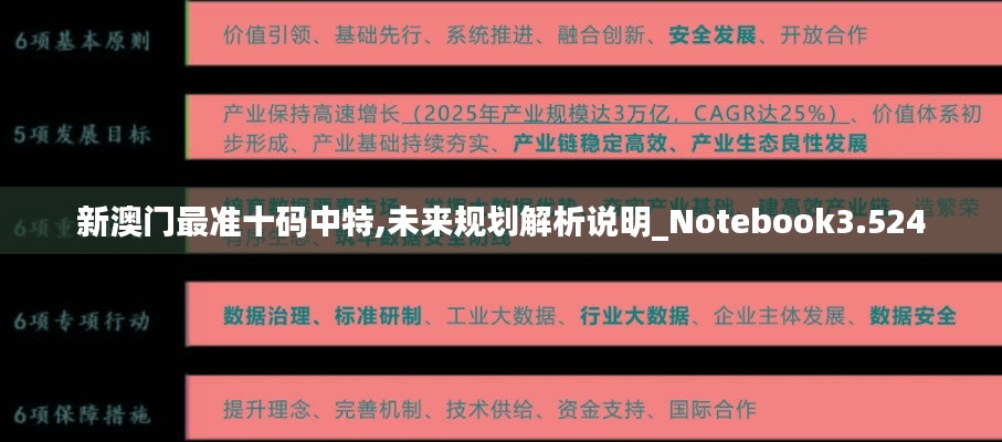 新澳门最准十码中特,未来规划解析说明_Notebook3.524