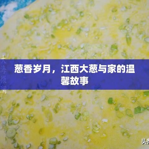葱香岁月，江西大葱与家的温馨传奇