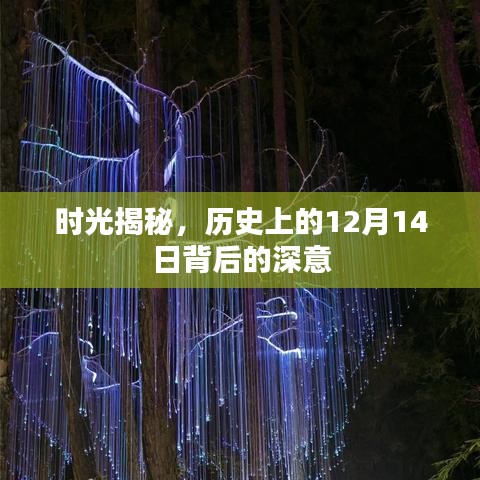 时光揭秘，历史上的十二月十四日背后的深意