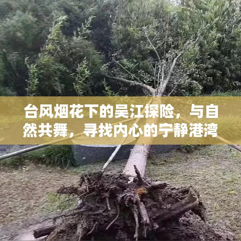 鸟惊鱼骇 第3页