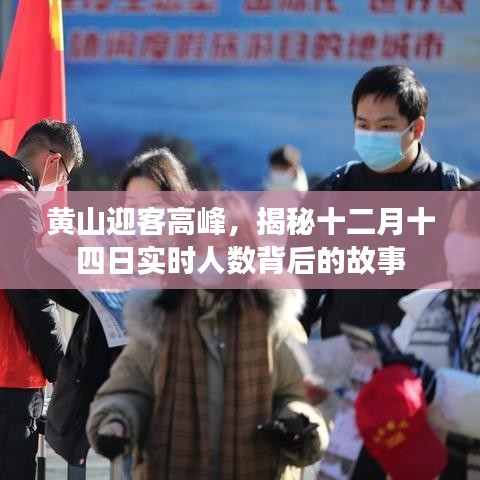 黄山迎客高峰揭秘，实时人数背后的故事
