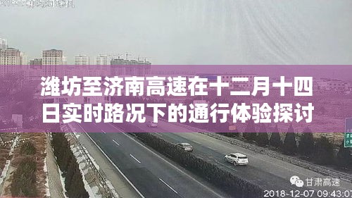 鸟啼花怨 第3页