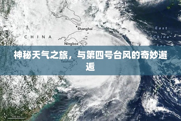 箪瓢陋室 第3页
