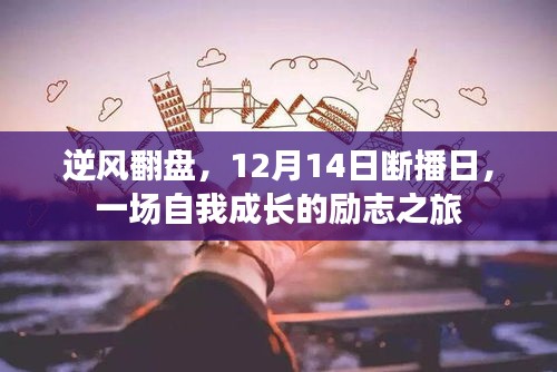 逆风翻盘，断播日的自我成长之旅