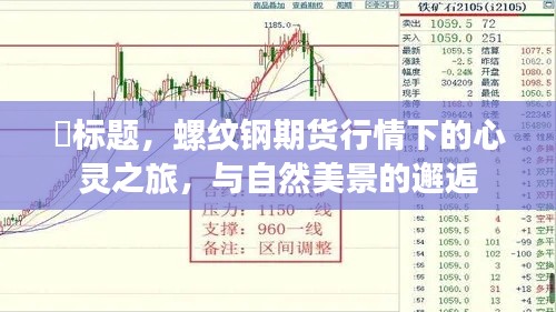 衣不重采 第3页