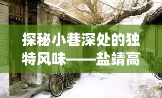 惊弦之鸟 第3页