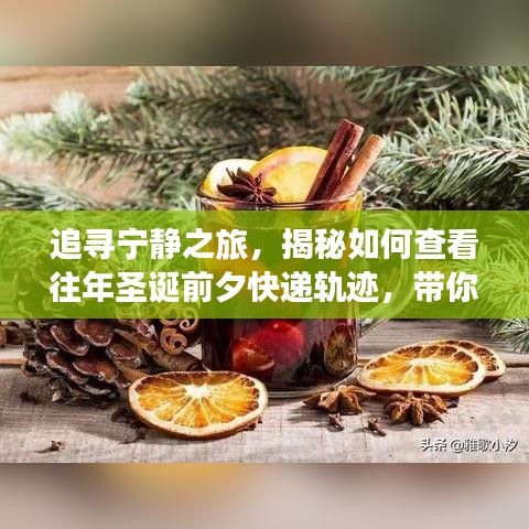荡然无存 第3页