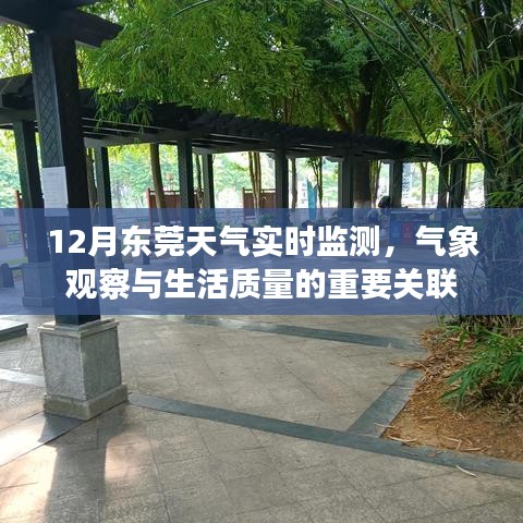 12月东莞天气实时监测，气象观察与生活质量紧密相关