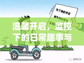 日常趣事监控下的温馨连结，家的温暖与乐趣展现