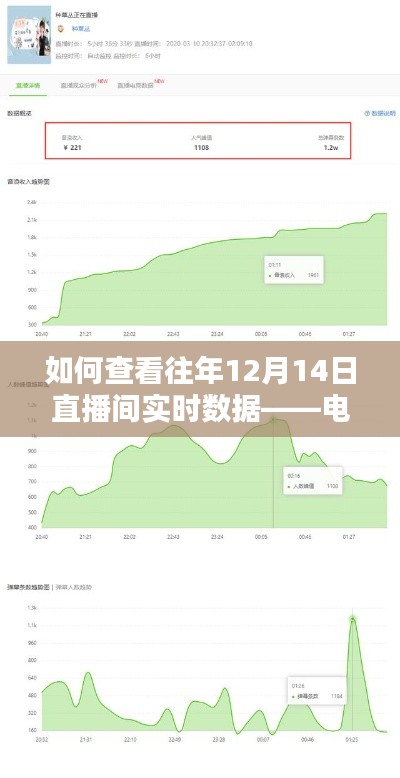 电脑端操作指南，如何查看往年12月14日直播间实时数据
